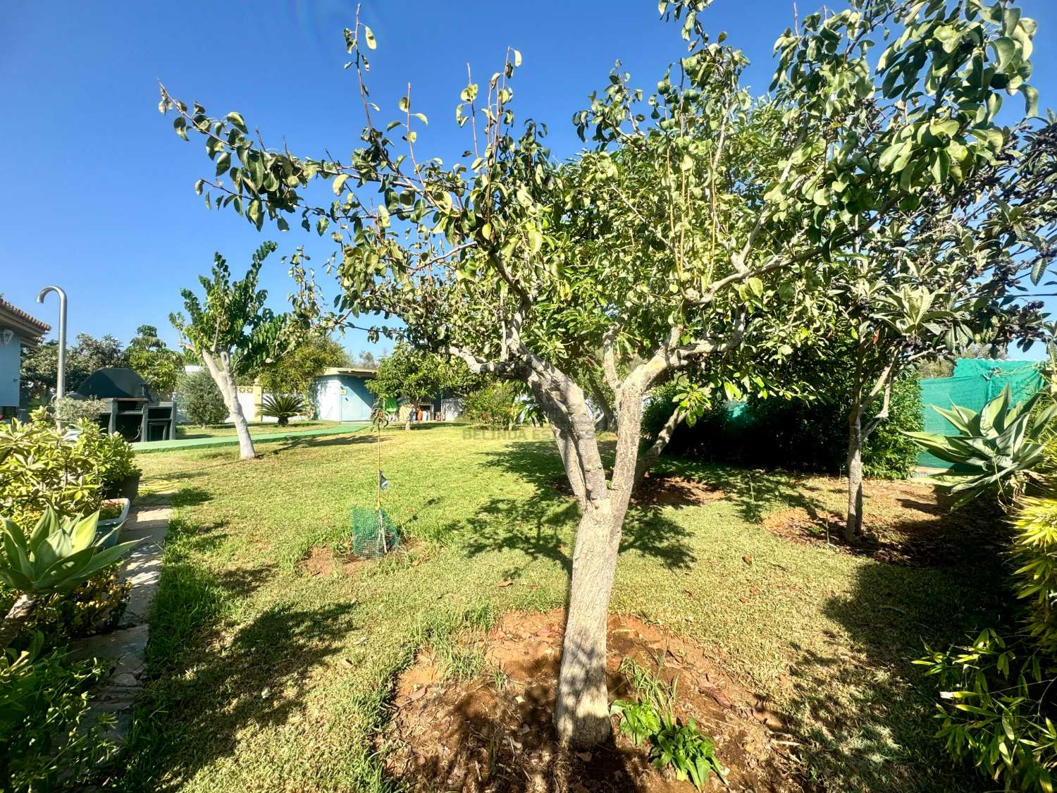 Casa indipendente con piscina e 1000 metri di giardino