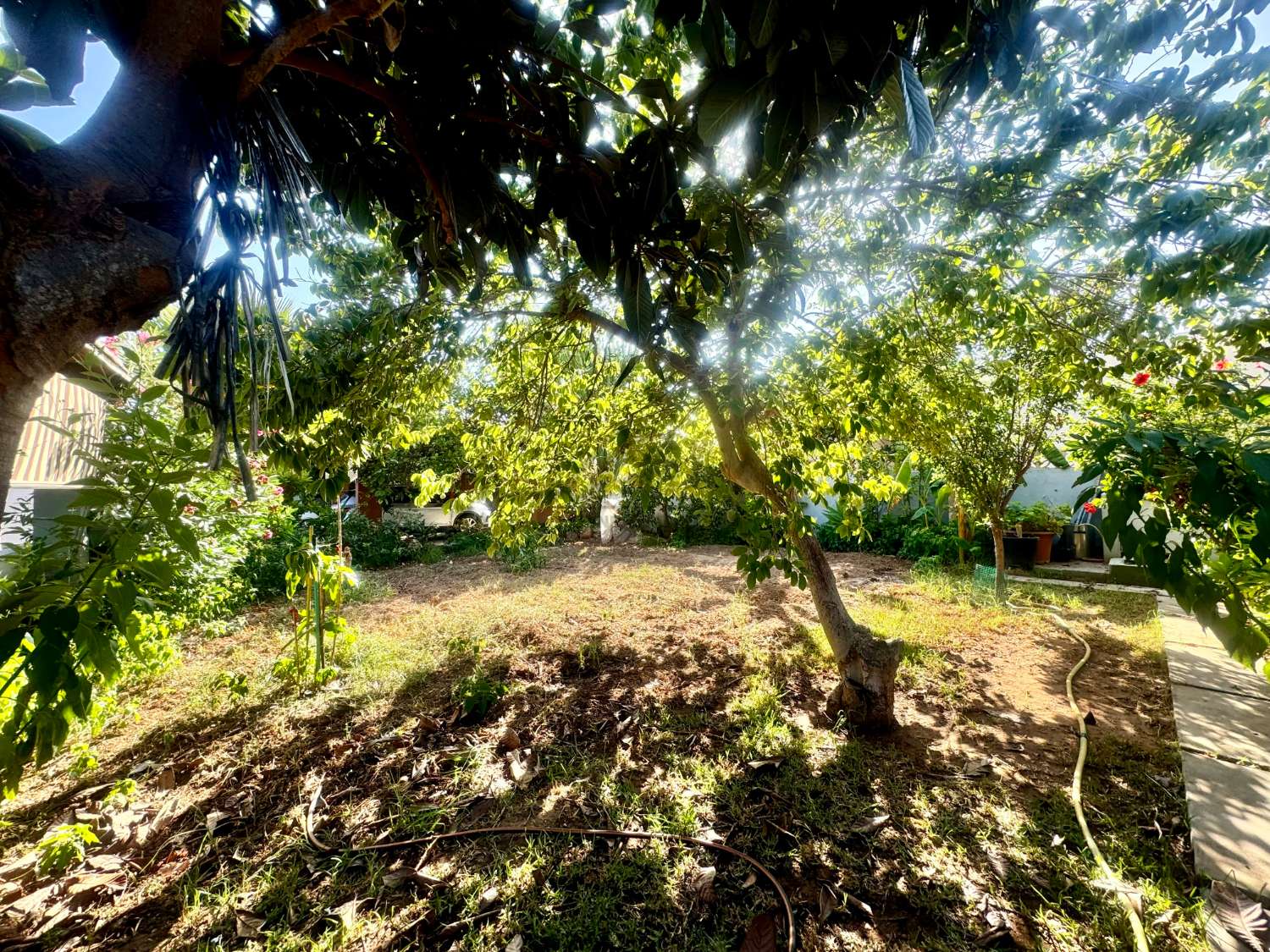 Casa independiente con piscina y 1000 metros de jardín